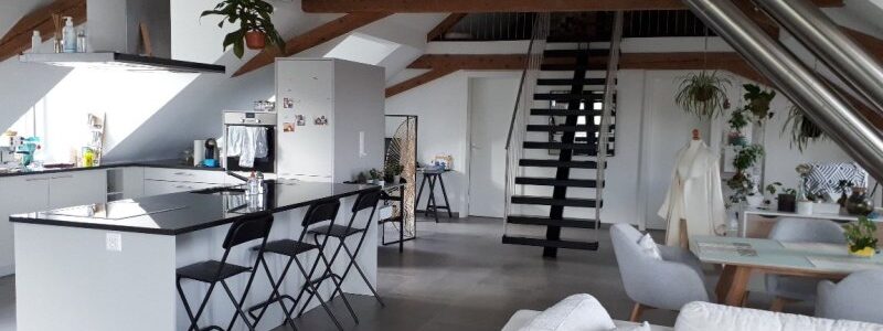 02285 – App. loft – Rue des Prises 13 – GORGIER