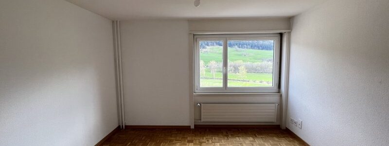 02253 – Appartement 1 pièce – Rue de la Flamme 14 – COUVET