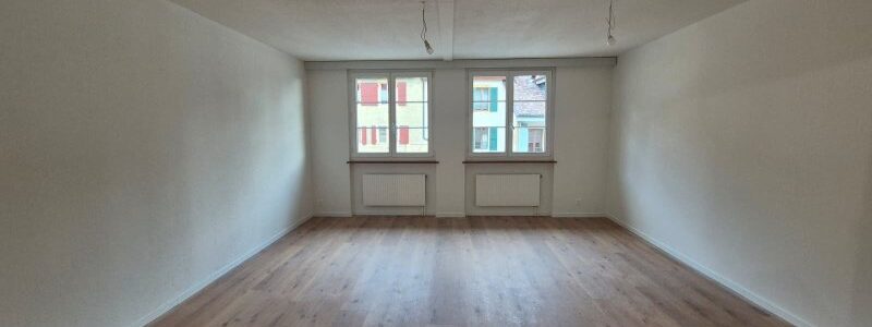 00389 – Appartement 2 pièces – Rue Louis-Favre 43 – BOUDRY