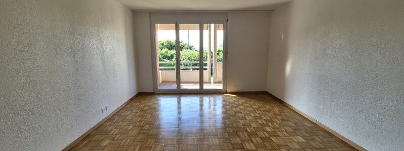 02423 – Appartement 3,5 pièces – Chemin du Lac 7 – HAUTERIVE